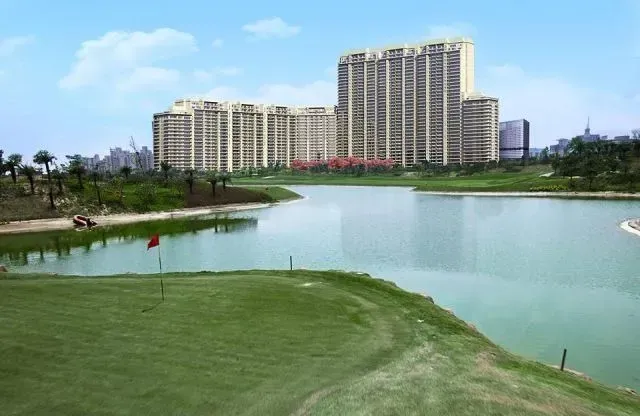 DLF The Camellias